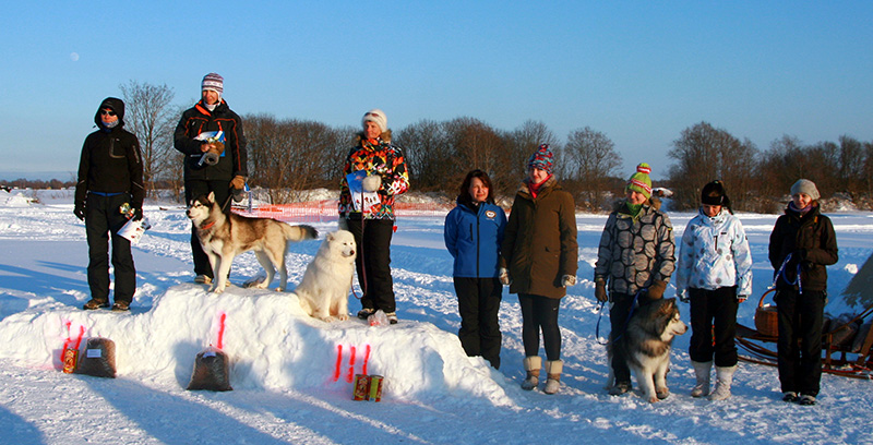 Balto-Talvekarikas-2013-NMS-võistlejad