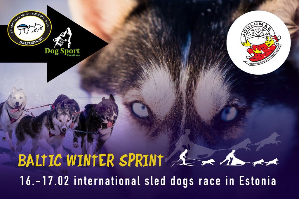 Baltic Winter Sprint 2019 sled dogs race in Estonia