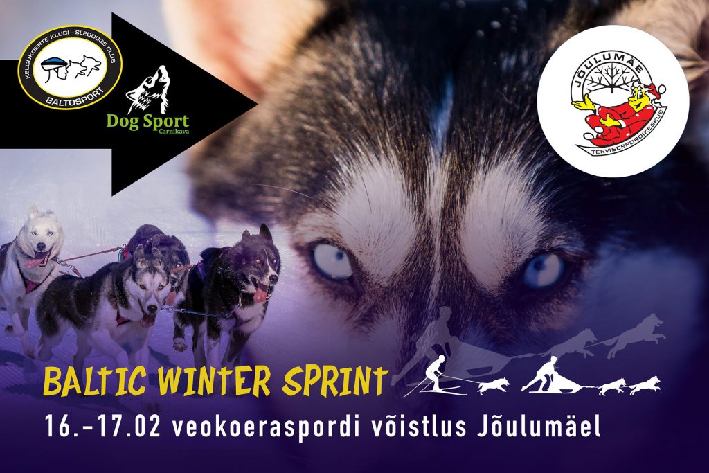 Baltic Winter Sprint 2019 veokoeraspordi võistlus
